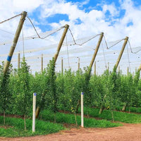 Tela antigranizo ( 6 m x 50 m )